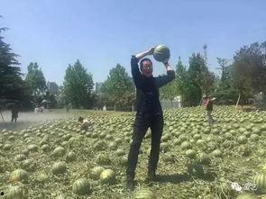 美术学院吃瓜视频,揭秘校园生活趣味瞬间