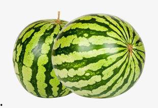 大瓜吃瓜素材下载视频免费,轻松制作热门视频