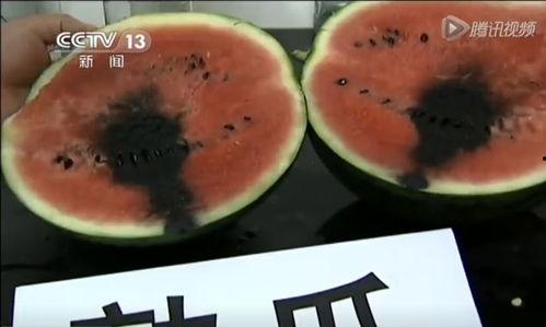 澳洲吃瓜小叮当视频