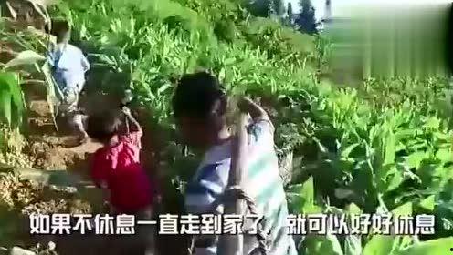 沉塘吃瓜的视频,一场引人入胜的民间美食探秘之旅