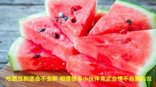吃瓜视频真正的吃西瓜,揭秘“吃瓜视频”中的真实吃瓜体验