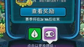 加里奥吃瓜视频在线观看,揭秘娱乐圈幕后故事