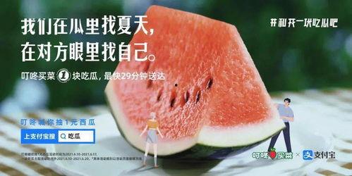 吃瓜文案素材视频大全,盘点热门视频素材大全