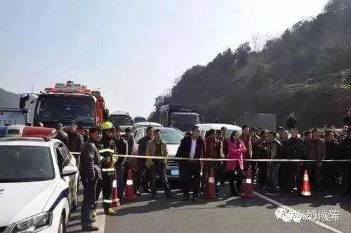 项城吃瓜群众事件视频,一场网络舆论的风暴与反思