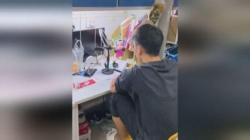 吃瓜人打架的视频,一场因瓜引发的纷争
