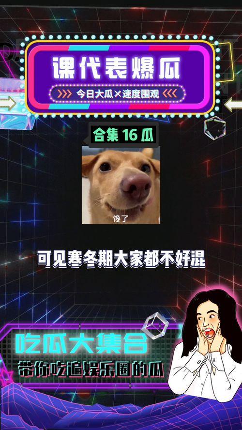 八卦吃瓜免费网站大全视频,海量视频资源一网打尽